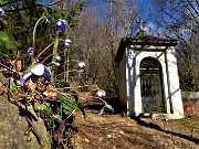 MONTE ZUCCO (1232 m) ad anello da casa-Zogno (300 m) con festa di fiori (17mar21)  - FOTOGALLERY